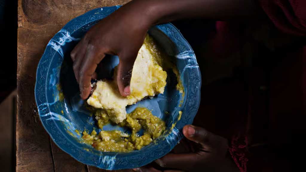 হরমুজ প্রণালিতে অচলাবস্থা বিশ্বে ‘চরম খাদ্য সংকট’ ডেকে আনতে পারে : এফএও